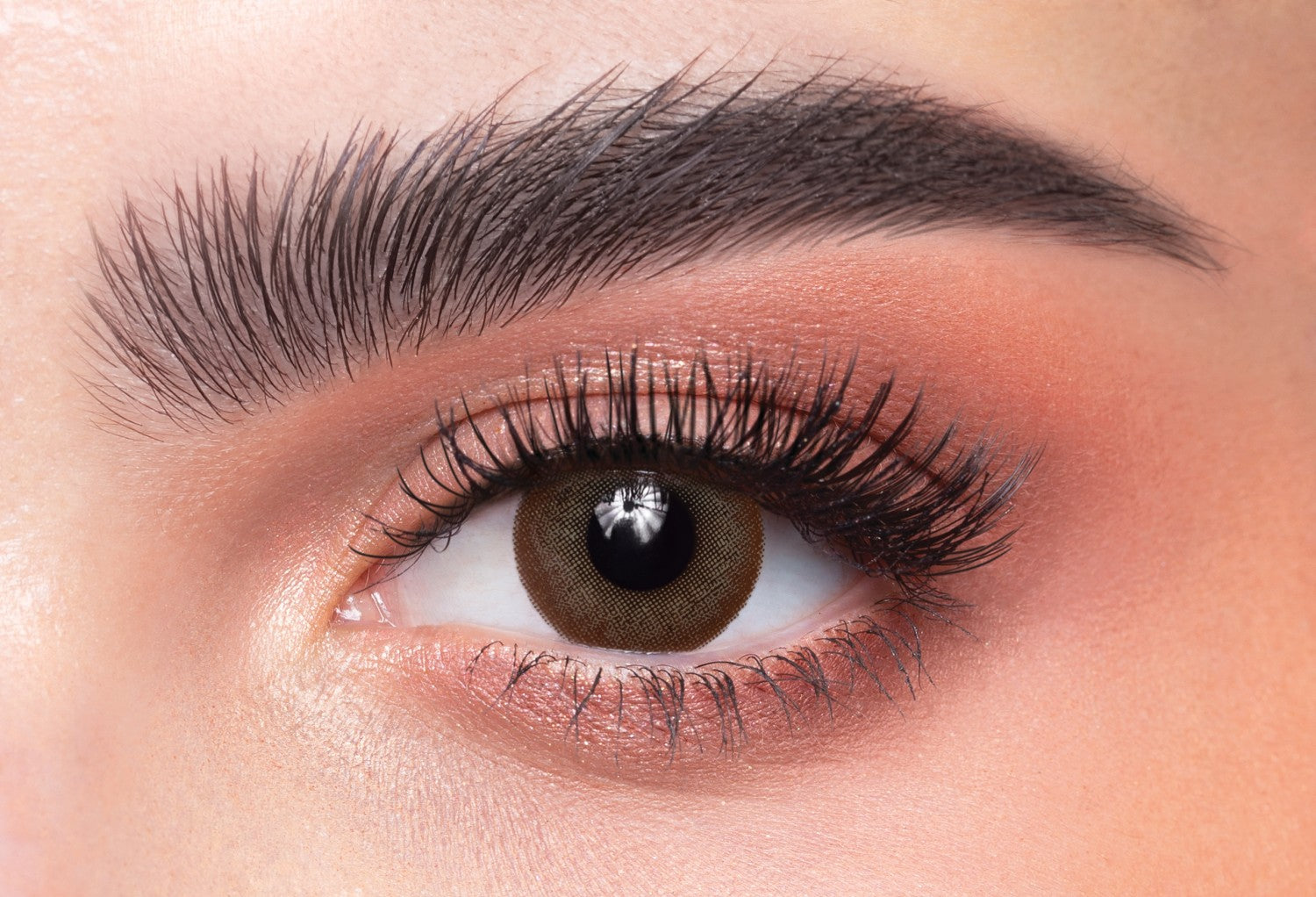 Classic Brown Everyday Lenses